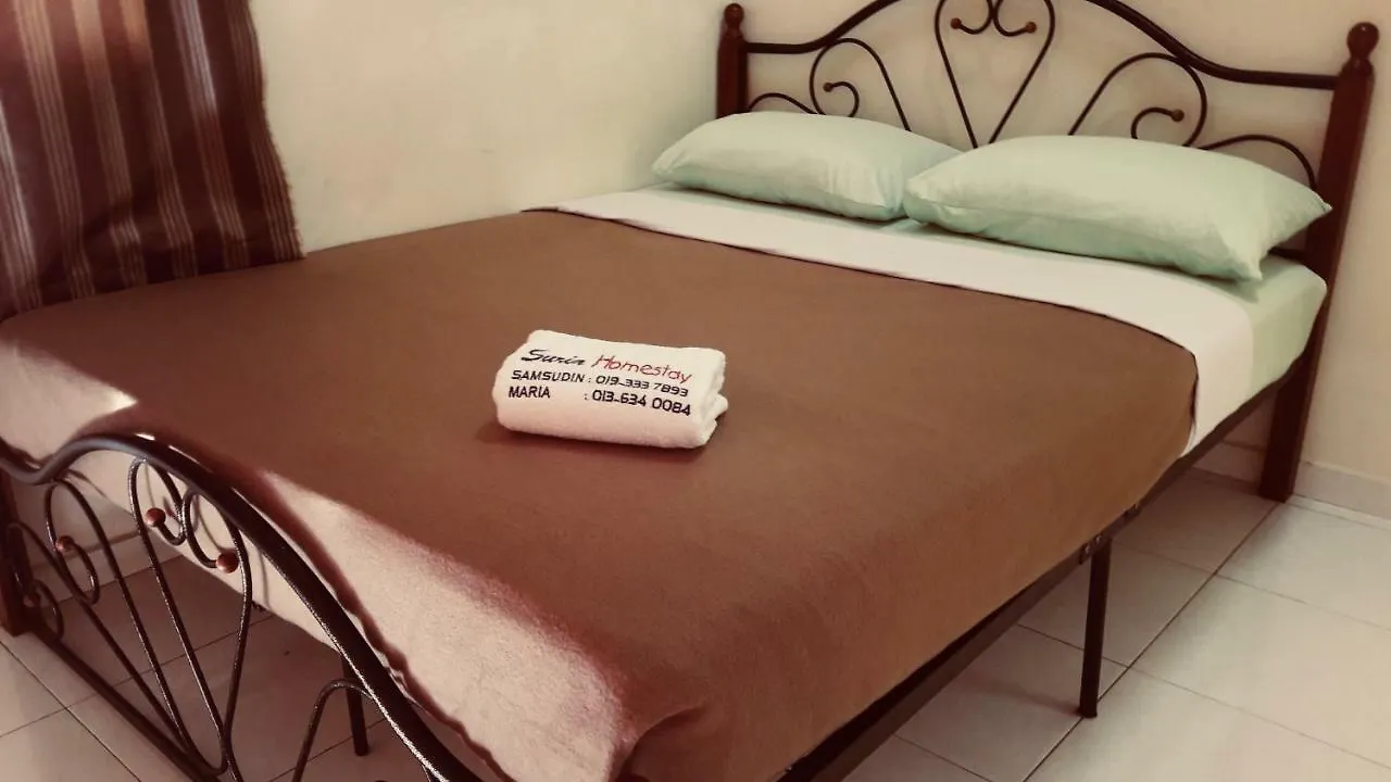 Suria 1 Homestay Jb With Private Pool Johor Bahru