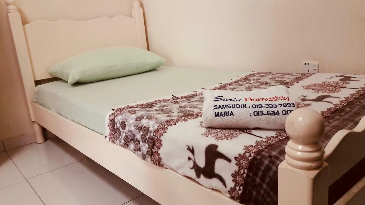 Suria 1 Homestay Jb With Private Pool Johor Bahru Malásia
